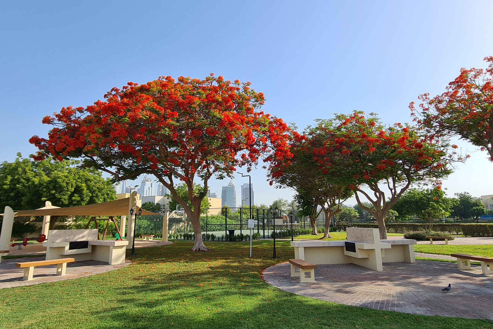 CLPdzcnO5SMy7BdtEOCWa67m8UAi4XY1s2AOrNKp