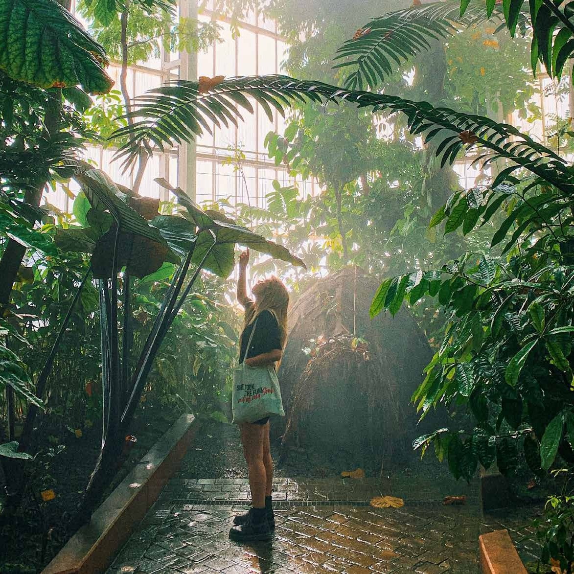 REUbVgv1gk7K55VtehsDIyiFt4dL9uGlPidxm2FG