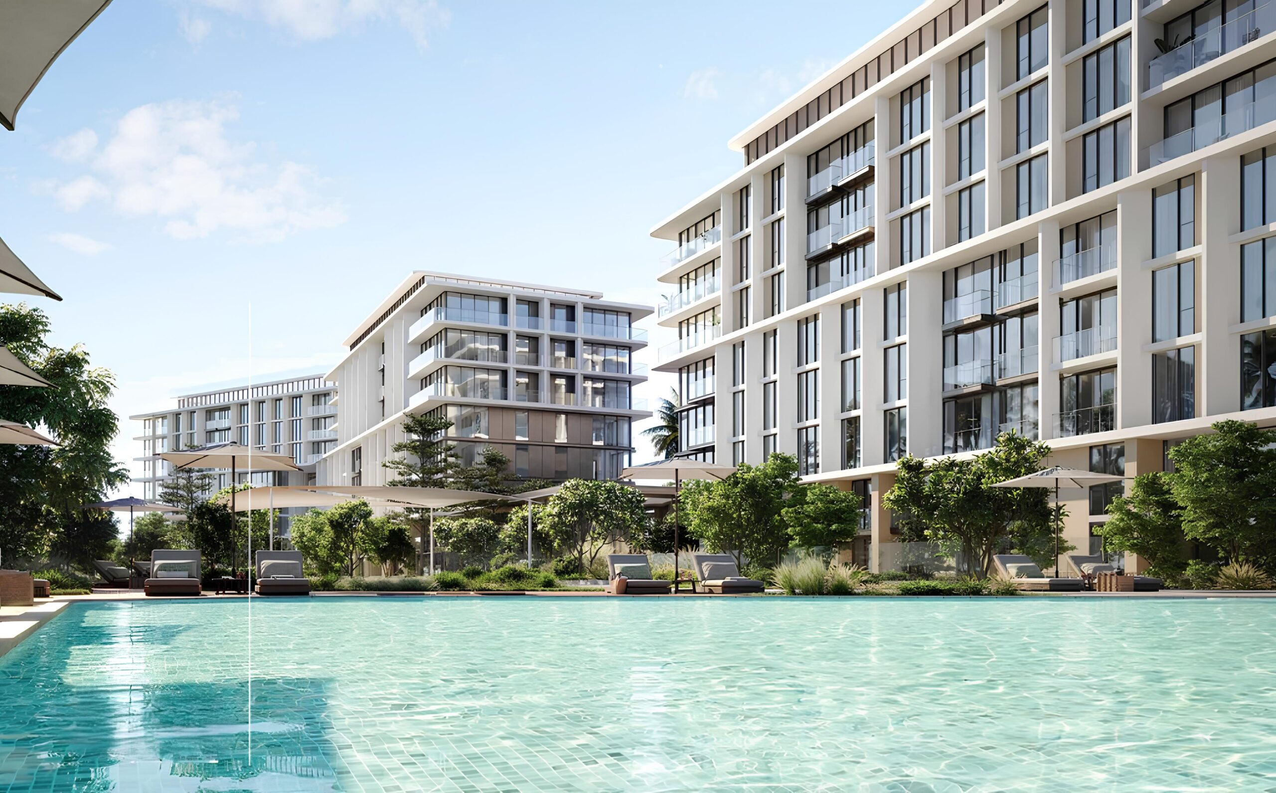 Taraf Solea - Image 4