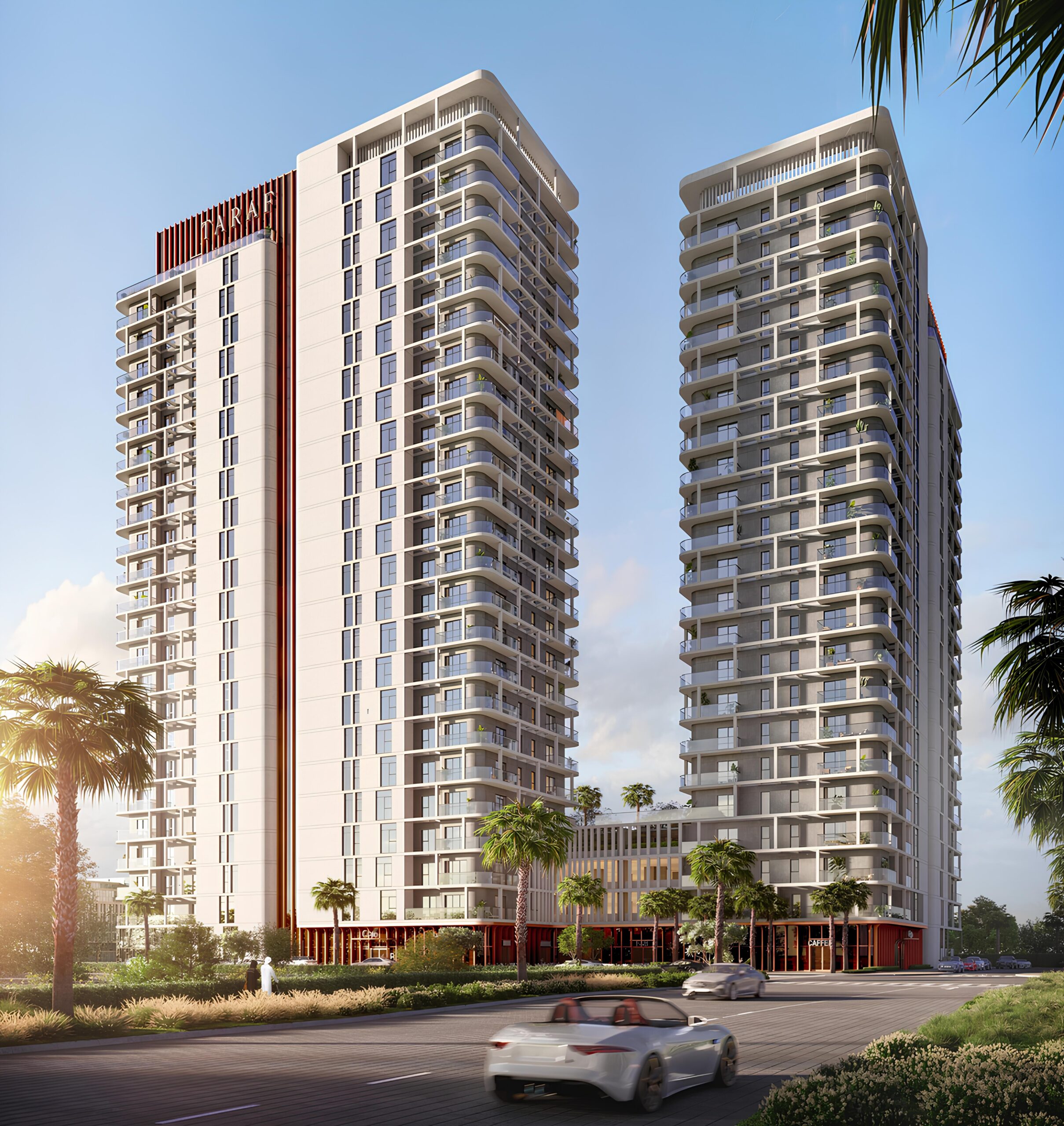 Taraf Cello - Image 8