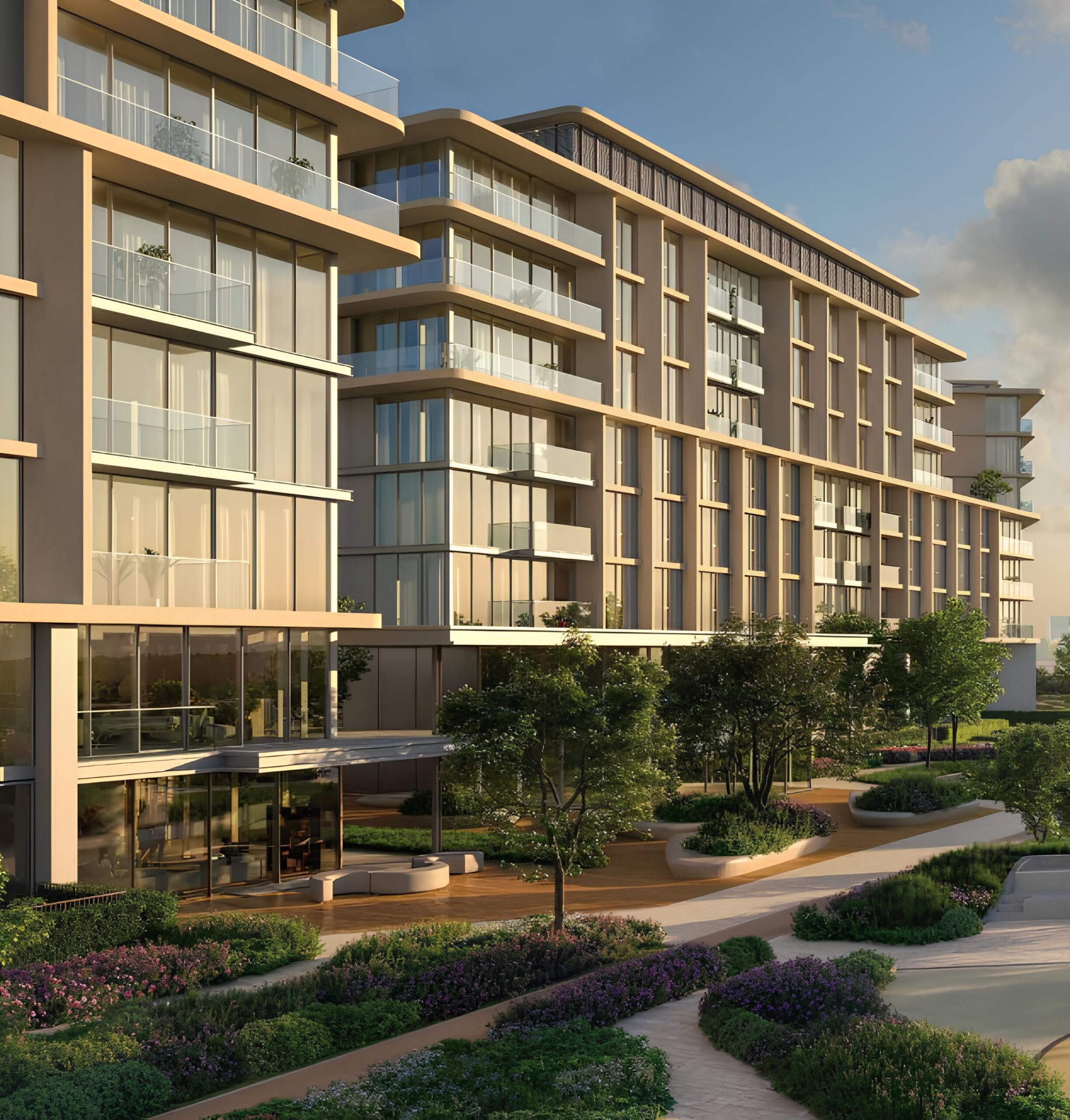 Taraf Solea - Image 7