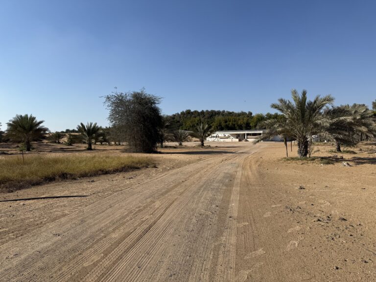 Emirates Properties Al Zahya H by Emirates Properties in Al Heliow - Image 3