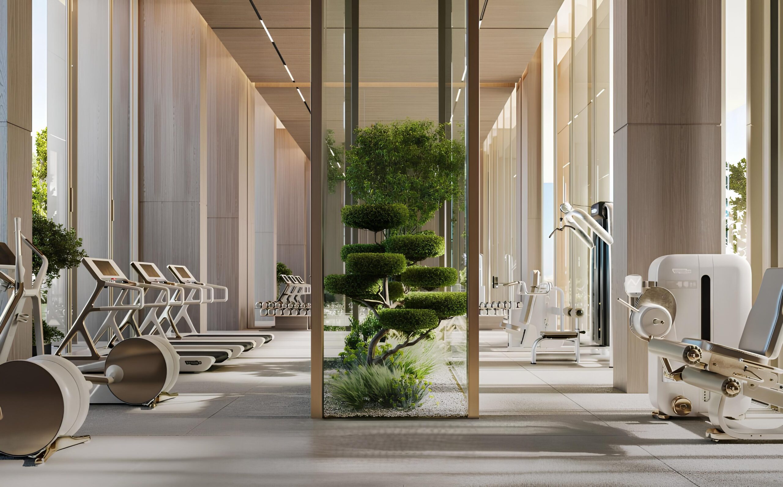 Avenew Shoaq - Image 10