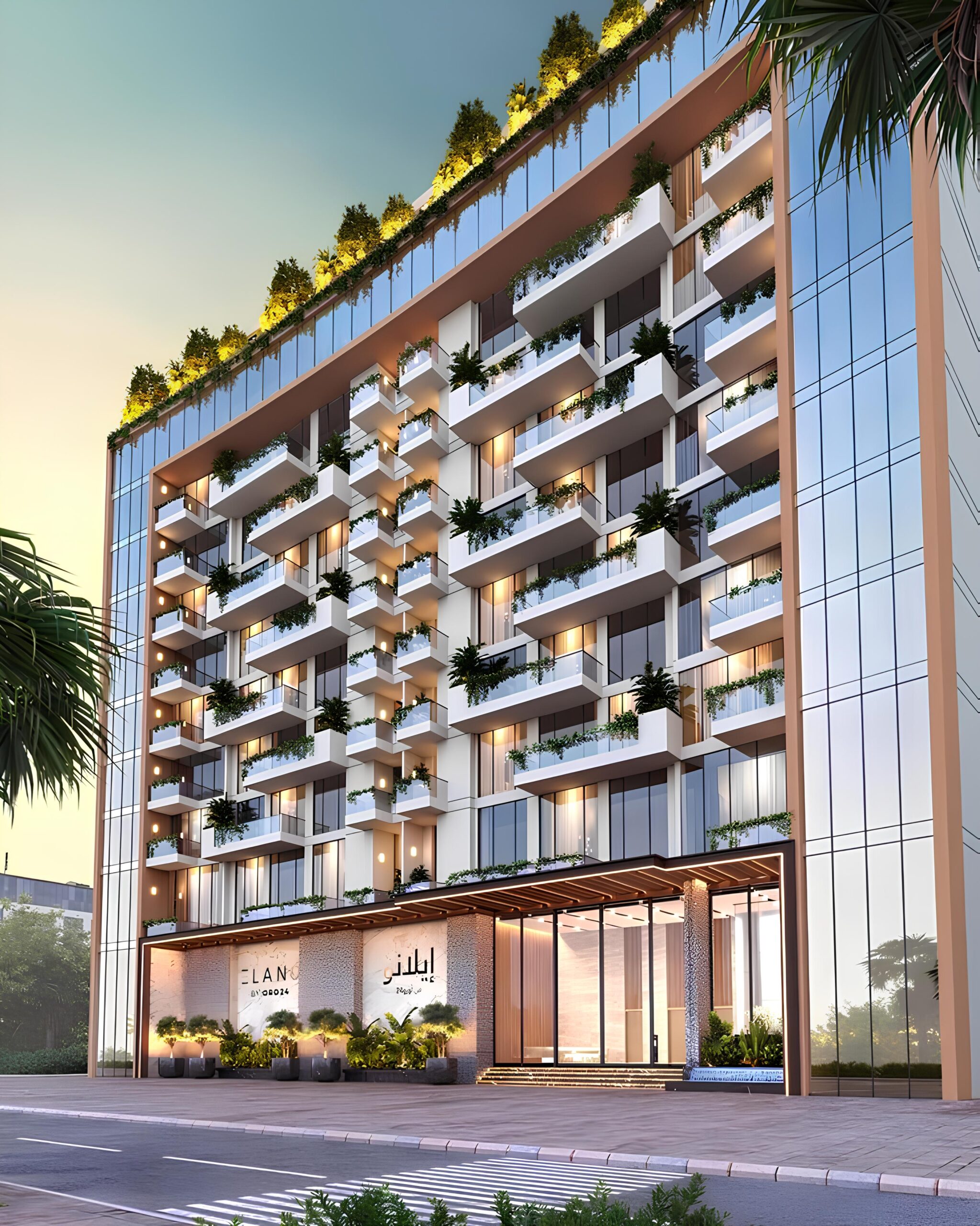 Oro24 Elano - Image 7