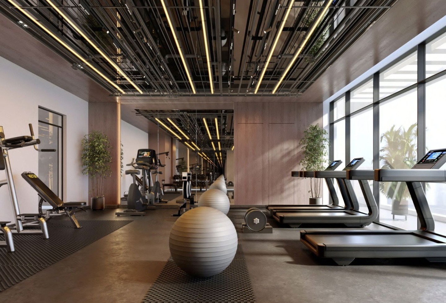 Refine Arista One - Image 12