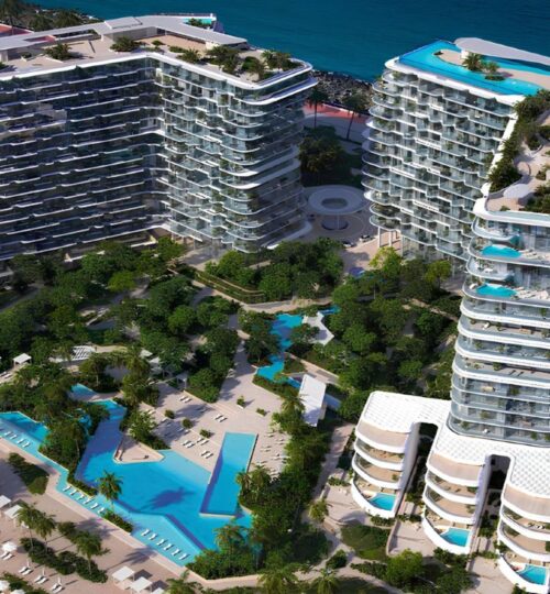 New Launch | Limited Units Left | Coveted