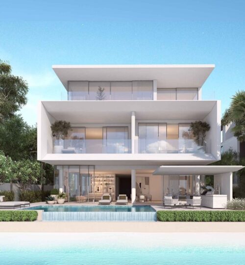 Open Sea View | High Number | OP Deal | No Agents