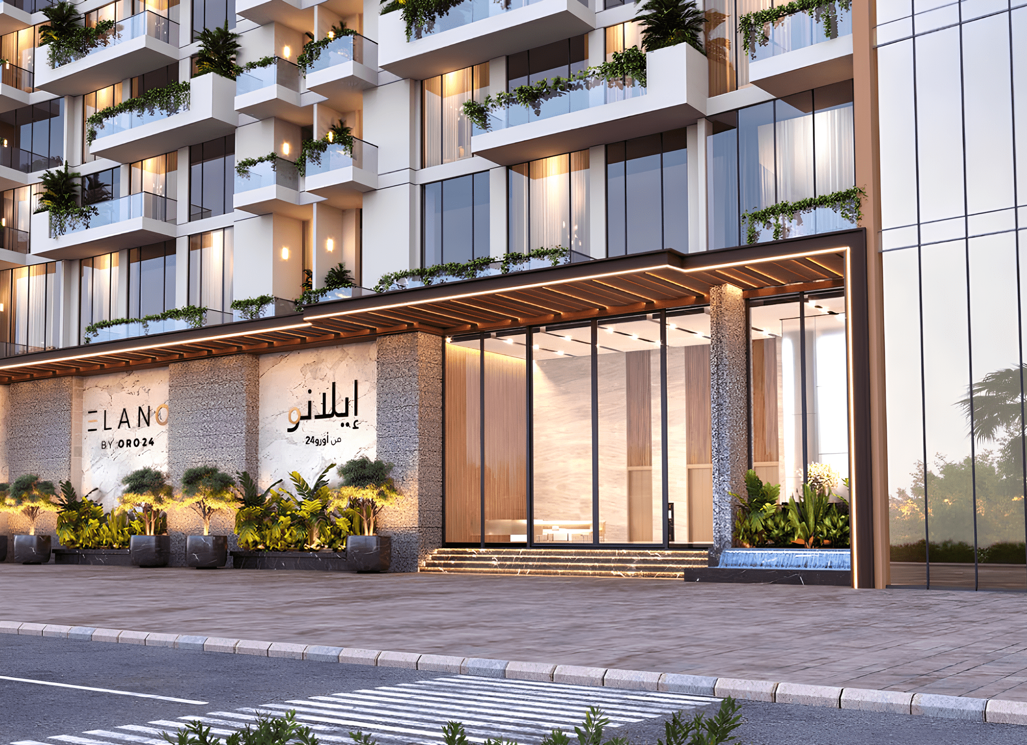 Oro24 Elano - Image 8