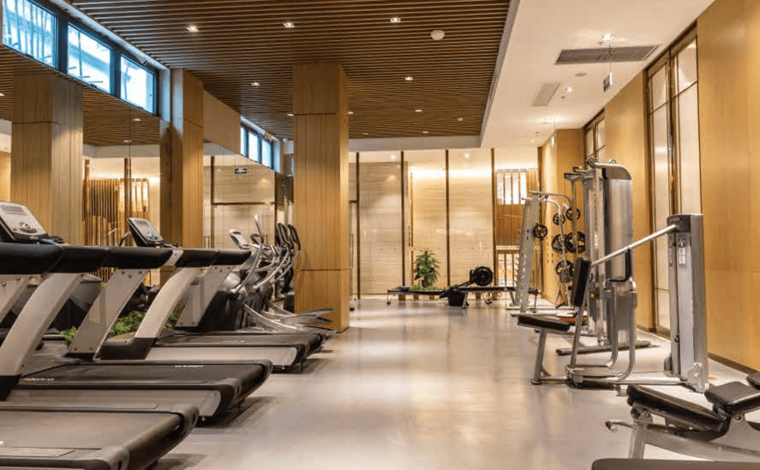 Samana Waves 2 - Image 4