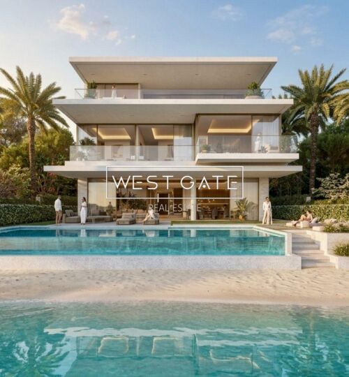 Blue Jay | Sunset View | Genuine Resale